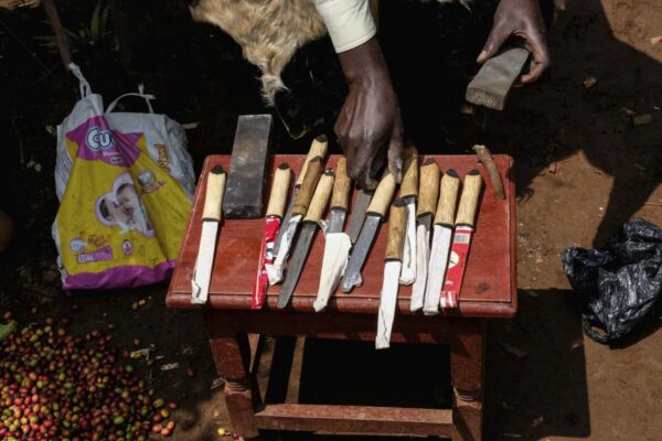 A mass circumcision is marketed to tourists in a remote area of Uganda