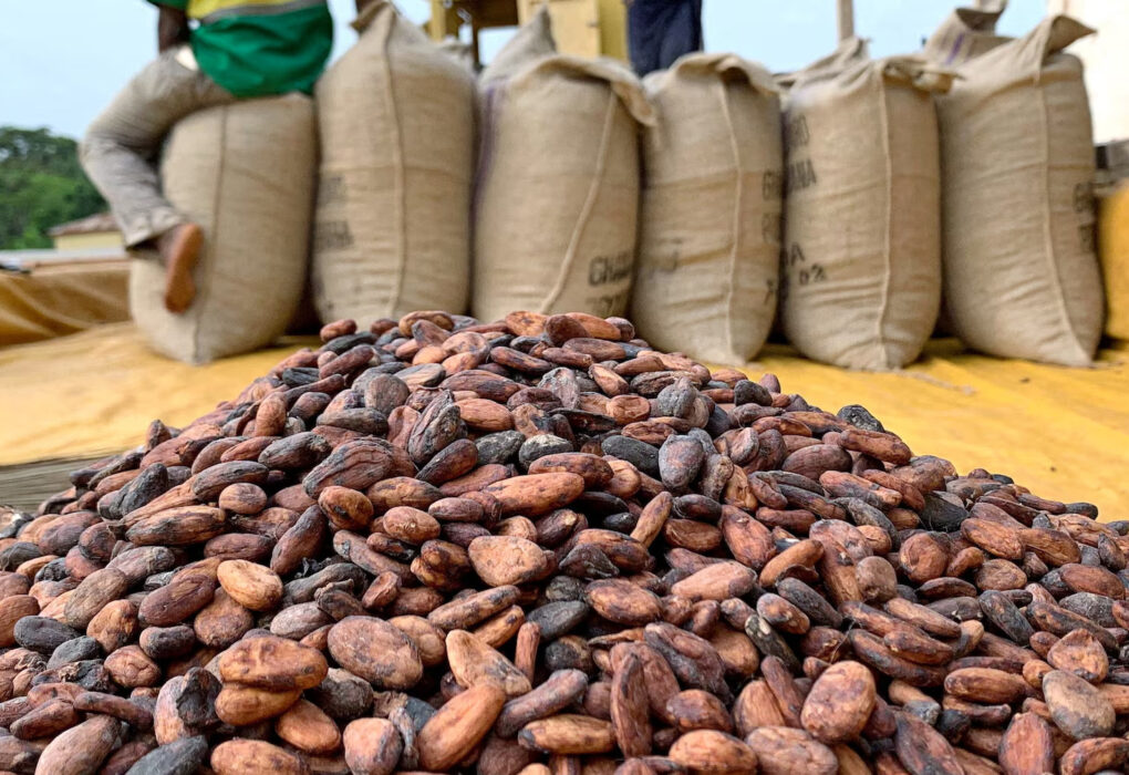 Ghana’s Cocoa Crisis: Failed Harvests, Rising Concerns and the Global Repercussions of losses